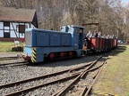 FGF 26b V10C