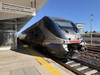FS ALn501-035 Elm