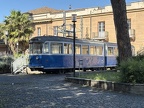 ATAC-Mus 404 6xER