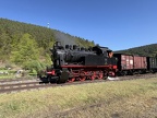 MusDA DME-184d Elm