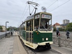 TW 005b 102N Rat