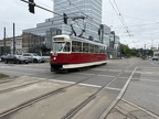 TW 0795d 13N Rat