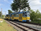 TWSB ET 317g Walt-Gl