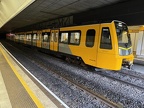 TNW 555027 Jes
