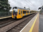 TNW 555032c Fell