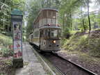 Skjold 0022f Bron