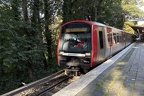 HHA 437 DT5 Hab