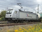 RHC E 187073 bKork