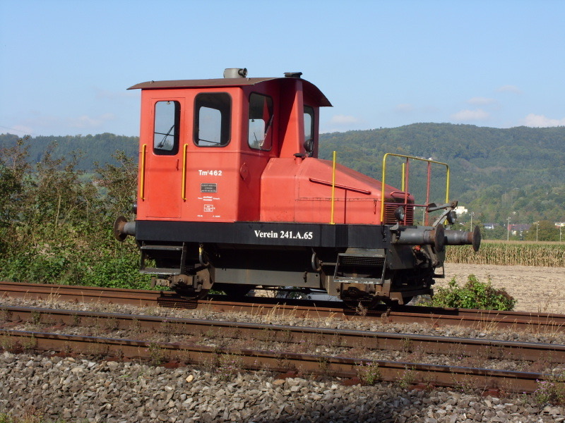 V241A65_Tm1-462_b_Full.jpg