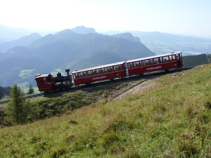 Z 13
SLM, *1995 • H 2/3 • B1 h2t • 1000 mm, Z: Abt
ex ÖBB 999.203
bei Schafbergalm SKGB_Dampf_Z13_rt_b_Schafbgalpe.jpg