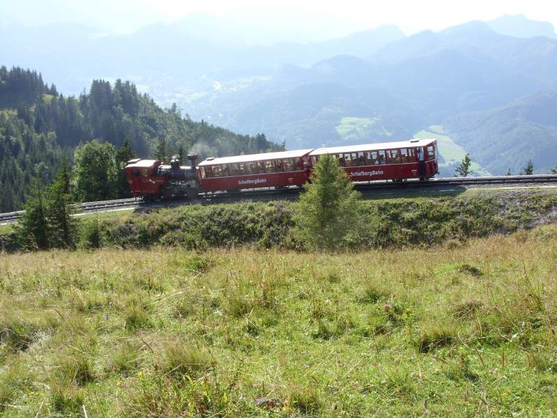Z 13
SLM, *1995 • H 2/3 • B1 h2t • 1000 mm, Z: Abt
ex ÖBB 999.203
bei Schafbergalm SKGB_Dampf_Z13_rt_Schafbgalpe2.jpg