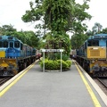 KSR_V_1774D+1751D_Kuranda2.jpg