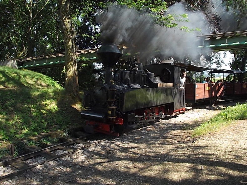 SchBB_D_Taxus_Dn2t_Brigadelok11.jpg